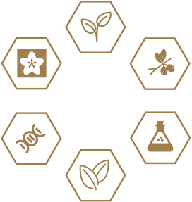 asiagame(中国)官方网站