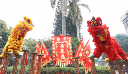 龙腾狮跃，，，共铸绚烂未来！！